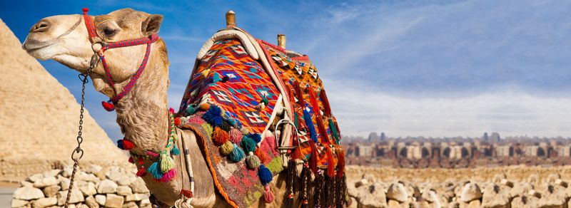 Round Trip Nile Cruise and Pyramids Round Trip Nile Cruise and Pyramids